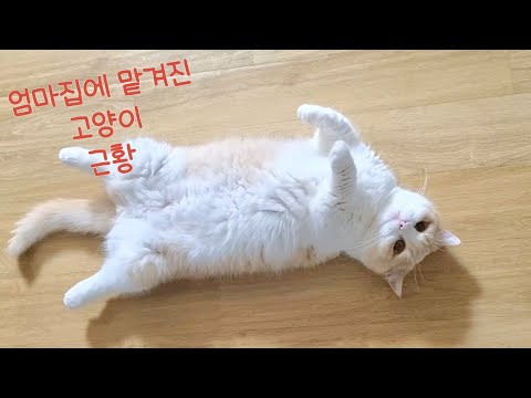 YouTube 썸네일