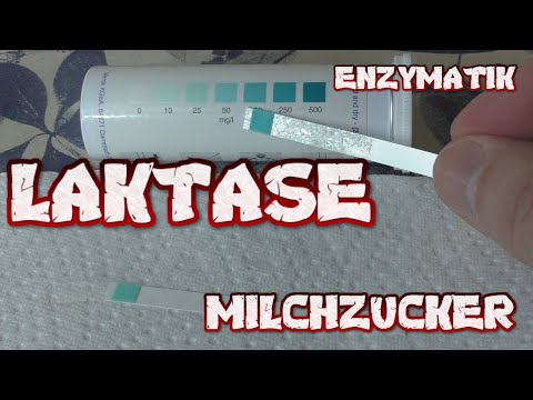 GLUKOSE in MILCH? LAKTASE und MILCHZUCKER | ENZYMATIK