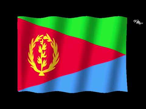 Bereket Mengisteab Tefelalina Ena Oud | ተፈላሊና ኢና | New Eritrean Music 2024