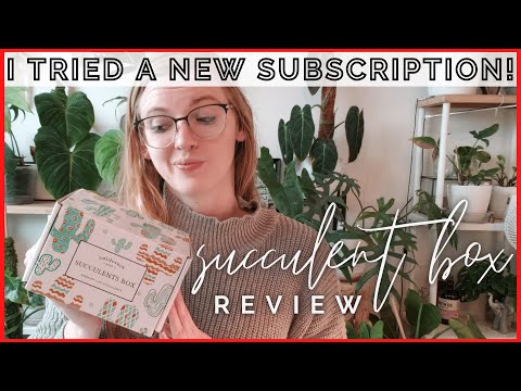 Trying A New Houseplant Subscription Each Month! Succulent Box Review