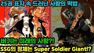 [원피스분석]25권 표지속 떡밥 버기는 미래의 사황?! SSG의 정체는 Super Soldier Giant?!
