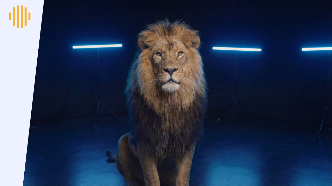 Bitsune, M’Go & Basskillah - Veteran (Offical Music Video) I Drum & Bass