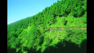 宜蘭太平山國家森林遊樂區蹦蹦車站