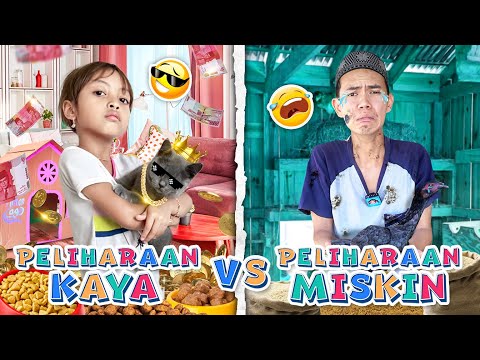 LEIKA HAS PETS CUTE CATS VS TOMPEL CARING FOR CHICKENS 😱 LEIKA IS RICH VS POOR TOMPEL