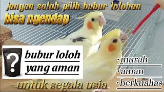 Download lagu bubur lolohan yang bagus untuk burung falk/parkit australia,||can cockatiel, mp3