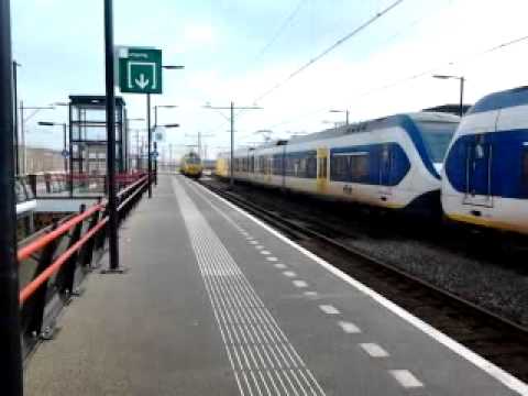 UFM 120 komt door Almere Oostvaarders