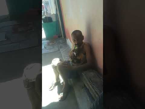 naenso seu filhote 🐕 jaguarari Bahia Brasil dezembro tio 2 2025