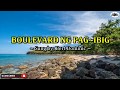 BOULEVARD - Dan Byrd (Karaoke Cover Tagalog Version by: Bert Dominic)