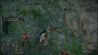 「紅の砂漠」レアリロード？「PS5」