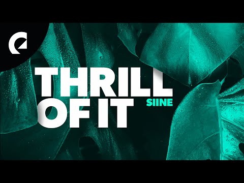 Siine feat. Frank Moody - Thrill Of It