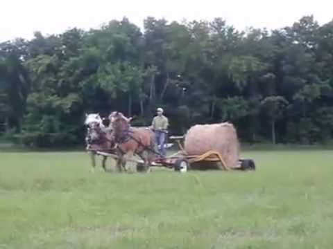 Storobaneasa si munca la camp