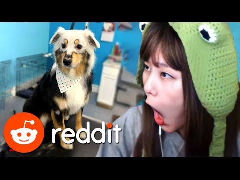 39daph Reacts to Reddit #50
