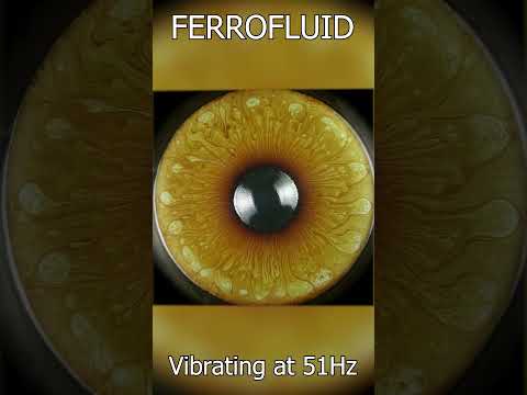 Vibrating Ferrofluid , it looks like an IRIS