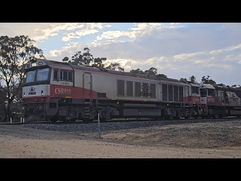 2PM9 SCT intermodal & steel train, Perth WA to Laverton VIC, 1730, 29/8/24, Ararat West VIC