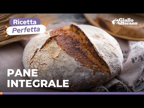 PANE INTEGRALE fatto in casa – la RICETTA PERFETTA di GialloZafferano🥖😍