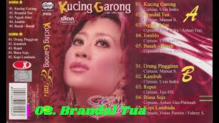 Download lagu 003. Erna Sari - Kucing Garong mp3