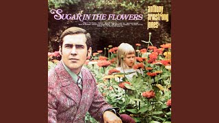 Sound of an Angel's Wings