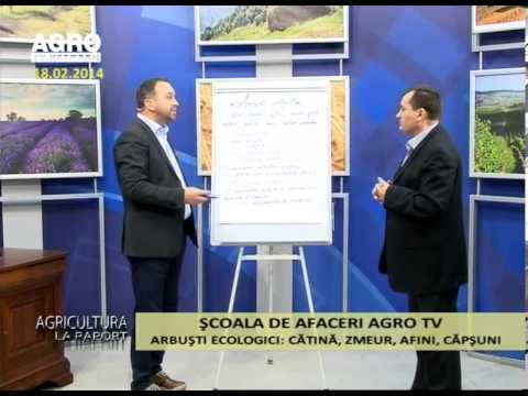 Agricultura la raport 18 02 2014 Dinu Criste