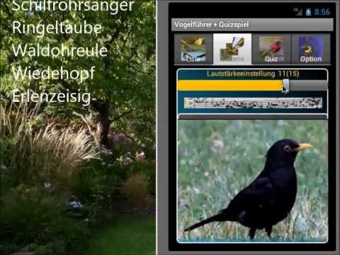 Bird Guide + Quiz Game