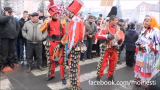 preview picture of video 'Parada ursilor Comanesti 2013'