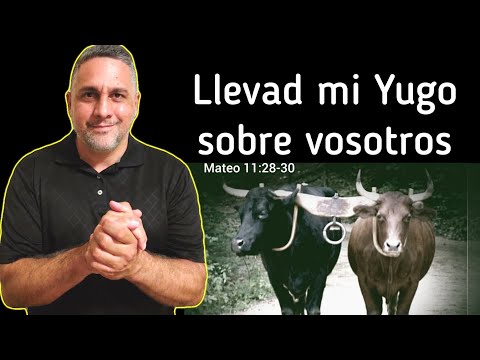 Jesús dijo: Llevad mi yugo sobre vosotros... Que significado tiene? #diosesfiel #cristianos #fé