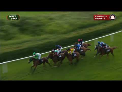 Derby-Meeting - 2. Renntag - Rennen 11