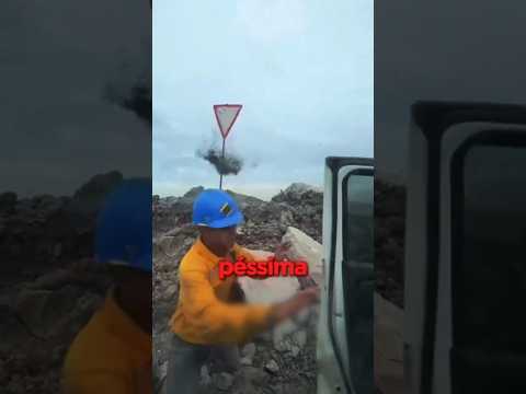 ele atacou um NINHO gigante de vespas...