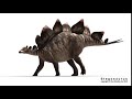 Stegosaurus walking with sound effects