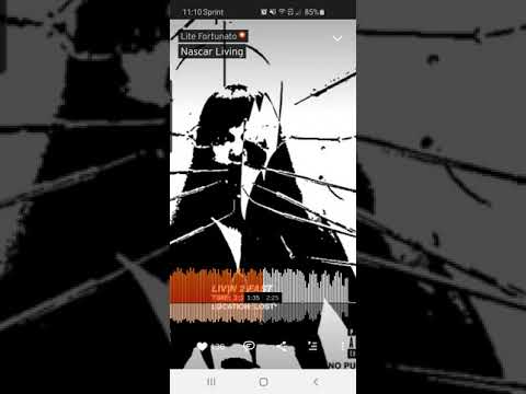 Lite fortunato - nascar living