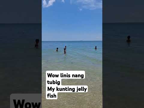 vilches beach resort guimaras