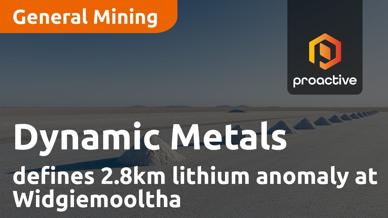 Dynamic Metals defines 2.8km lithium anomaly at Widgiemooltha