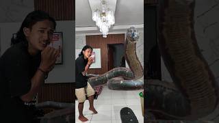 Download lagu Andrian Transforms a Broom into a Snake😱😱 mp3 Download lagu Andrian Transforms a Broom into a Snake😱😱 mp3