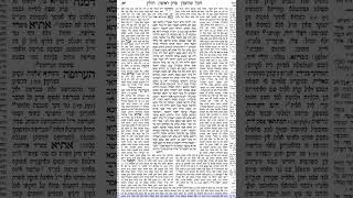 חולין דף יב
