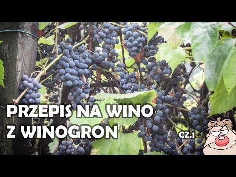 Grape Wine (GRAPE) part 1 - a simple recipe for homemade grape wine :)