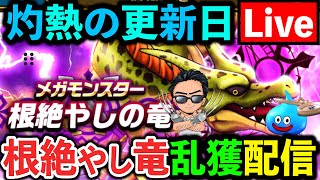 【ドラクエウォーク】根絶やしの竜を名前通り根絶やしにしてあげる配信