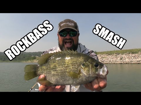 Rock Bass Smash! | How to catch Rock Bass!