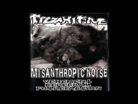 Misanthropic Noise & Pizza Hi Five -  split tape [2009]