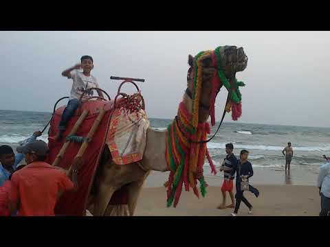 Anant tour (sea beach)2