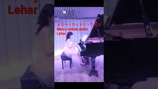 Download lagu メリーウィドウワルツ mp3 Download lagu メリーウィドウワルツ mp3
