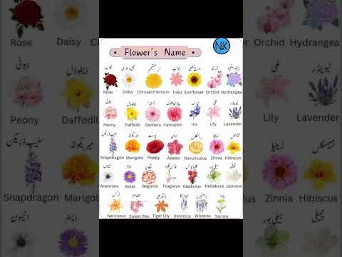 #flowers #names #short #viral #urdu #english #nukeducation