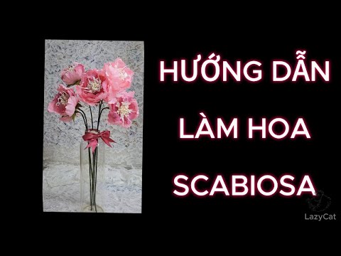 D.I.Y/LÀM HOA SCABIOSA BẰNG GIẤY NHÚN/ SCABIOSA FLOWER/ ART OF MAKING FLOWERS WITH CREPE PAPER
