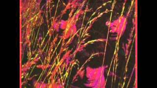 My Bloody Valentine - By The Danger In Your Eyes