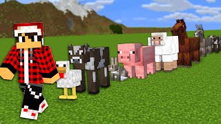 ماين كرافت سويت فارم للحيوانات الاليفة ???? سكاي كرافت 13