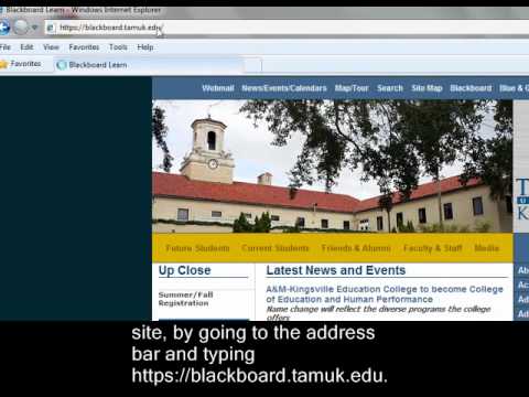 Blackboard Learn 9 Login Tamuk