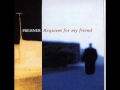 Zbigniew Preisner - Requiem For My Friend