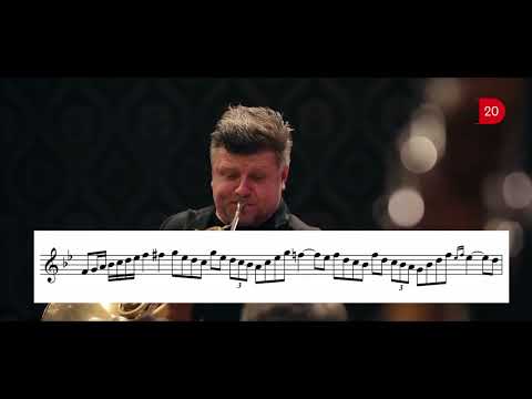 Cadenza mozart k447 / concerto n.3 Mozart - Radek Baborak