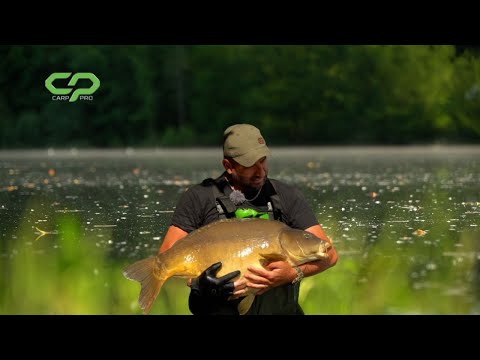 Tajne Šaranskog Ribolova na Nepoznatom Terenu