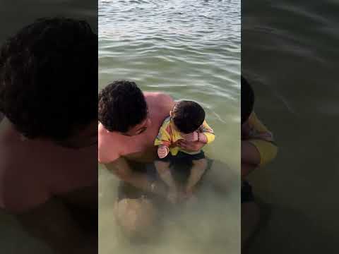 Gudda ki hui phli beach picnic#dhriti#cutebaby#love#jbrbeachdubai#dubai