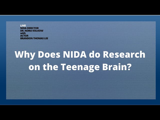 Why does NIDA do Research on the Teenage Brain?