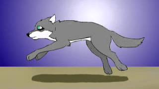 The bitter end - Dog music video